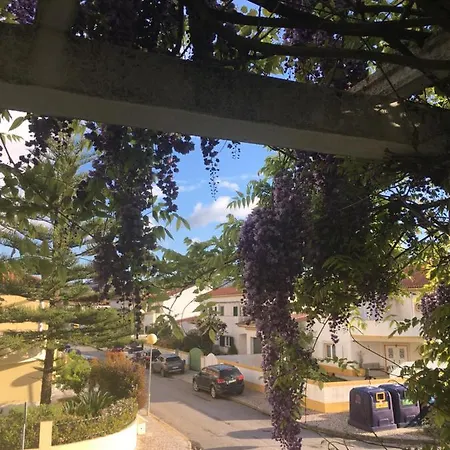 Appartamento A Casa Do Lagar Azeitao Esterno foto