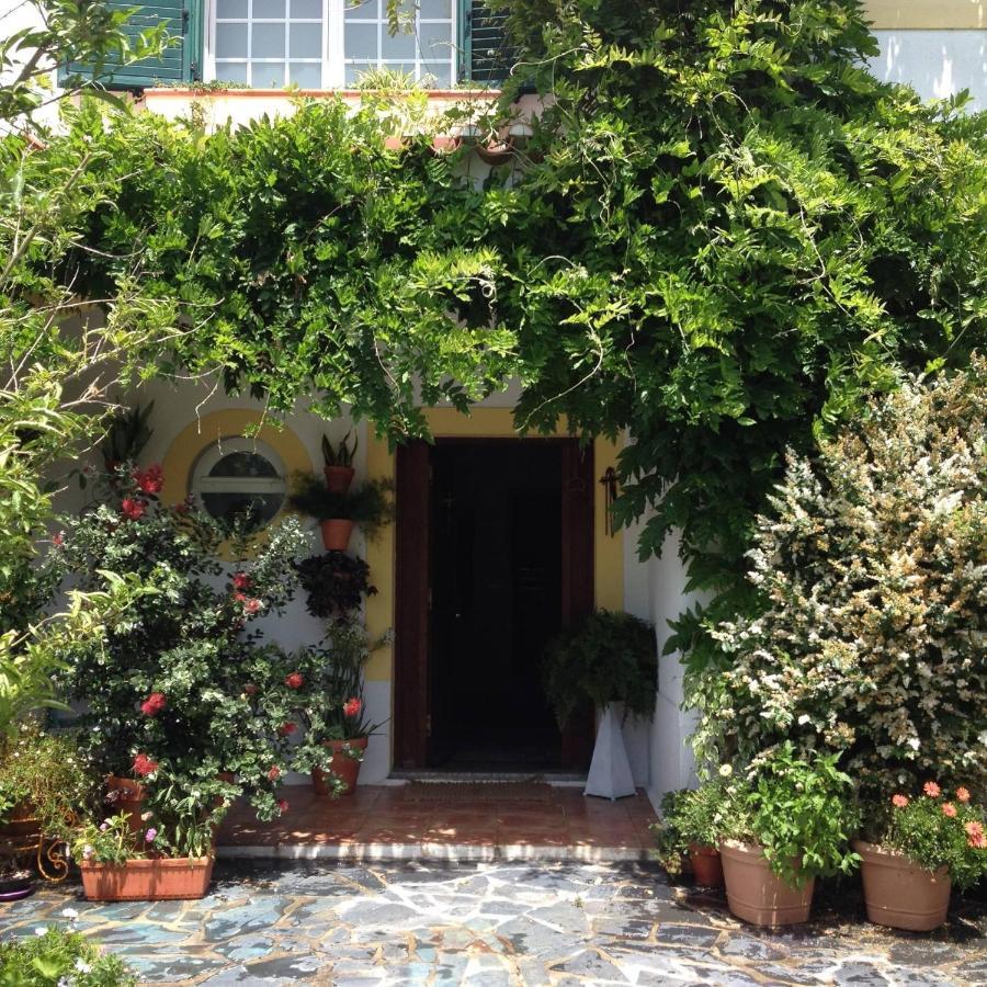 Homestay A Casa Do Lagar *