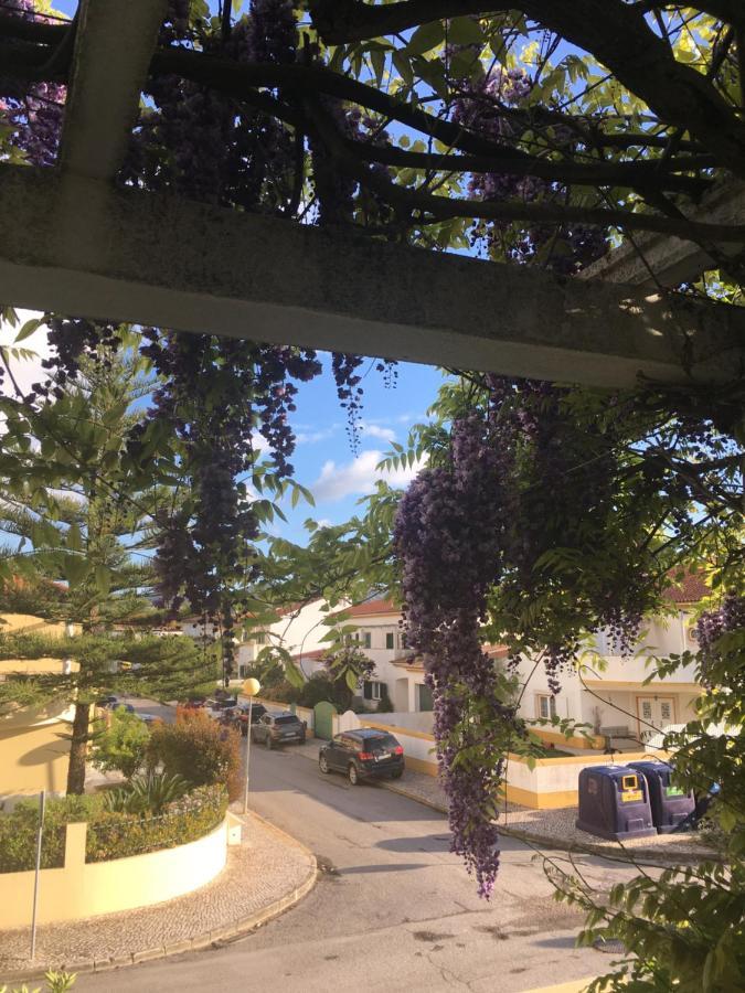 Homestay A Casa Do Lagar *