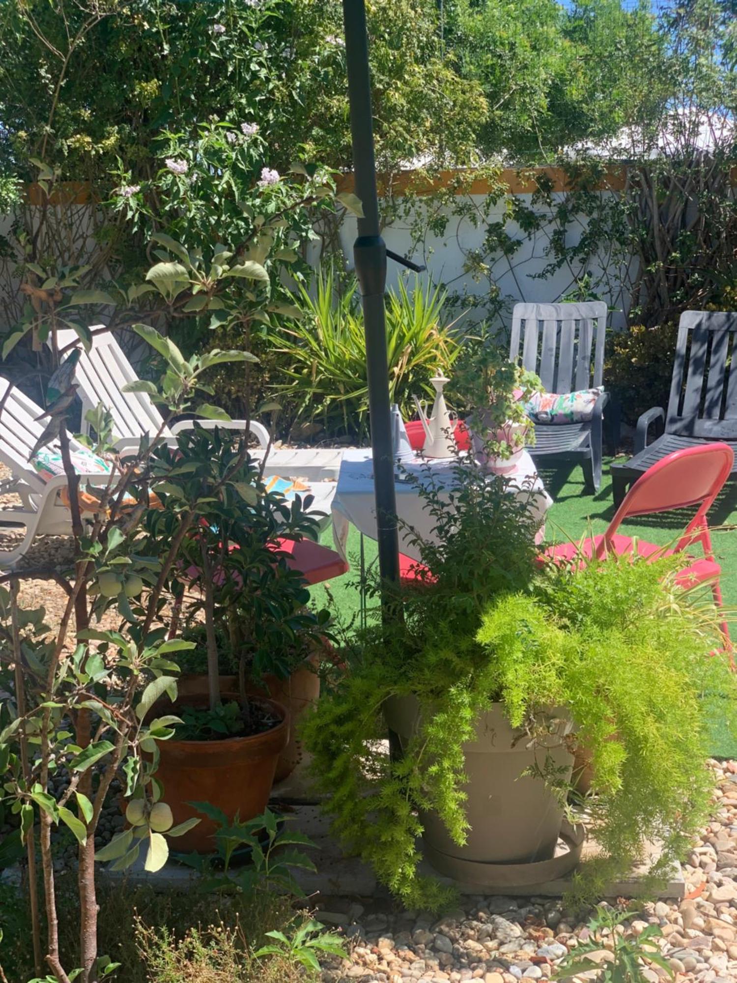 A Casa Do Lagar Homestay