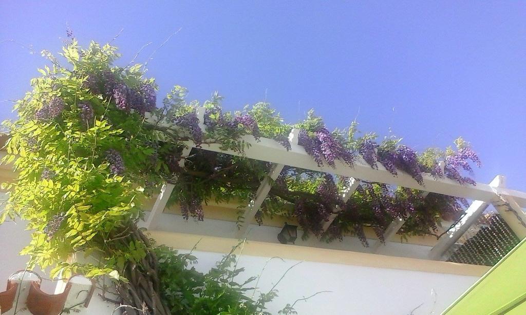 Homestay A Casa Do Lagar *